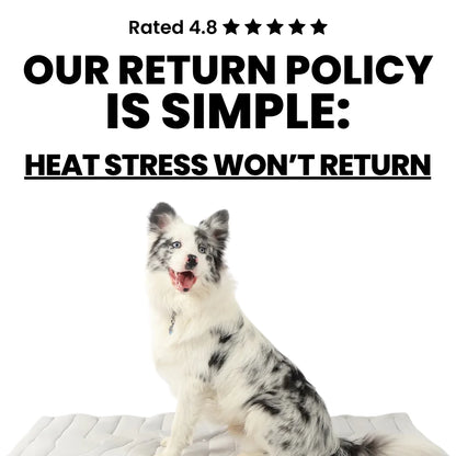 PupCoolMat: Dog Cooling Mat