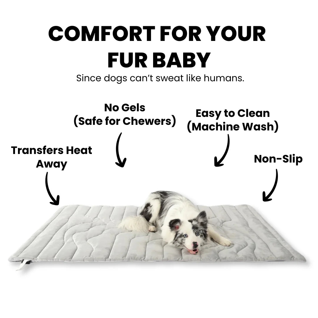 PupCoolMat: Dog Cooling Mat