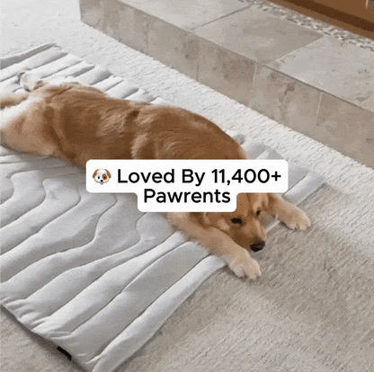 PupCoolMat: Dog Cooling Mat