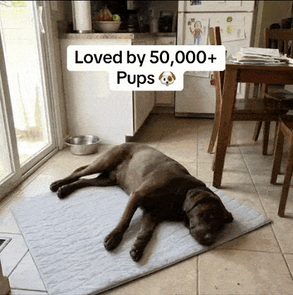 PupCoolMat: Kühlmatte für Hunde