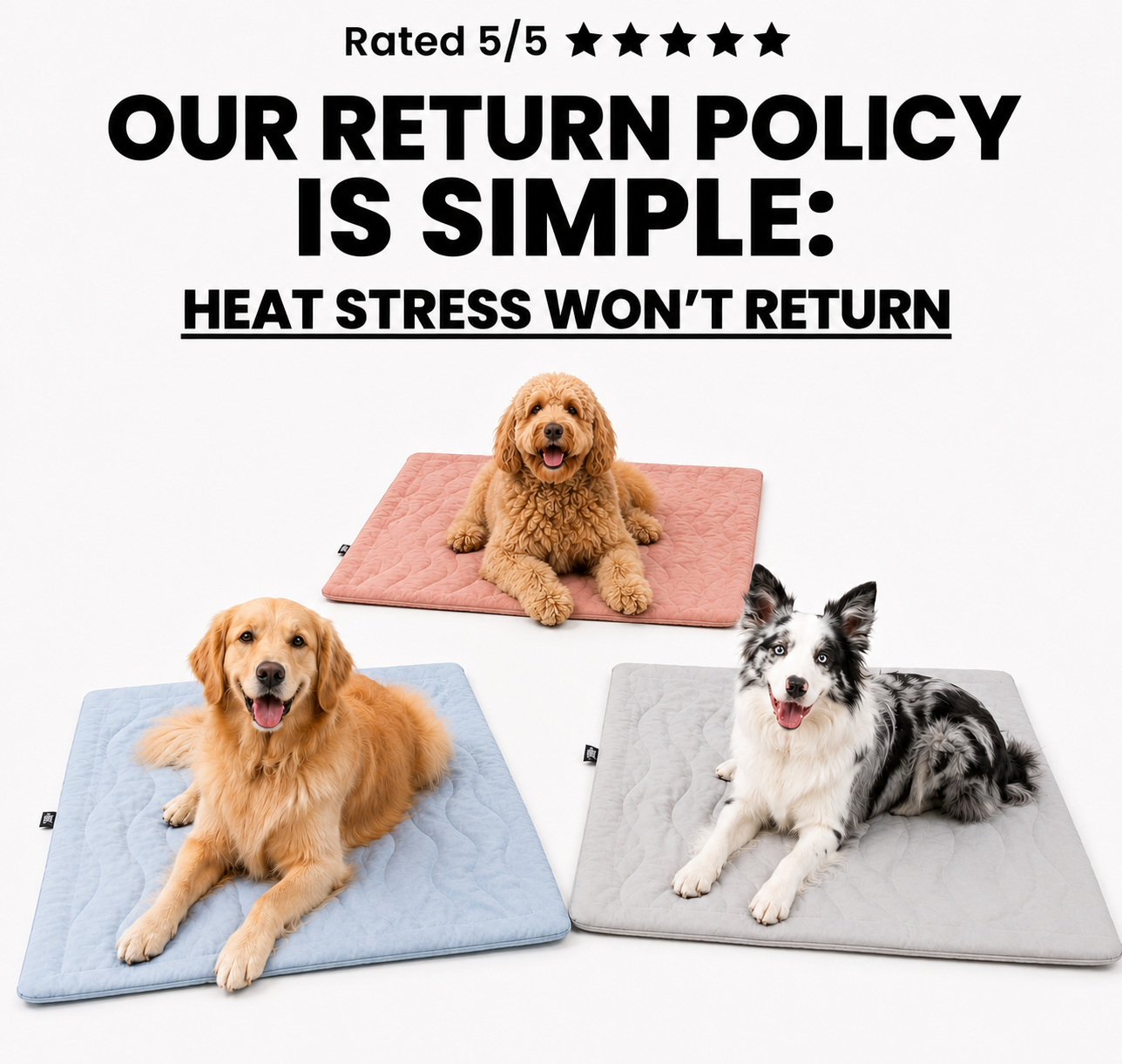 PupCoolMat: Kühlmatte für Hunde