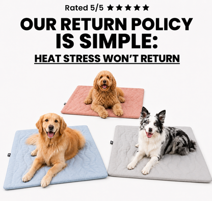 PupCoolMat: Kühlmatte für Hunde