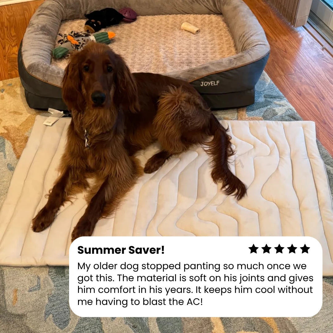 PupCoolMat: Dog Cooling Mat