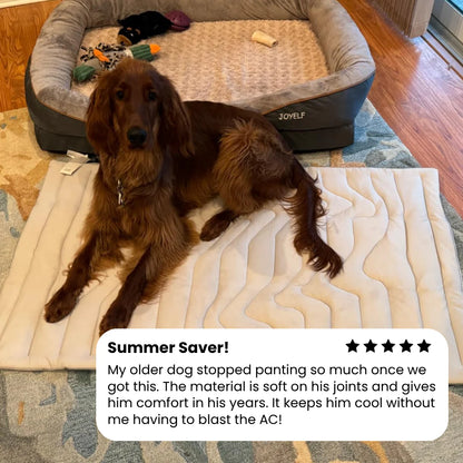 PupCoolMat: Dog Cooling Mat