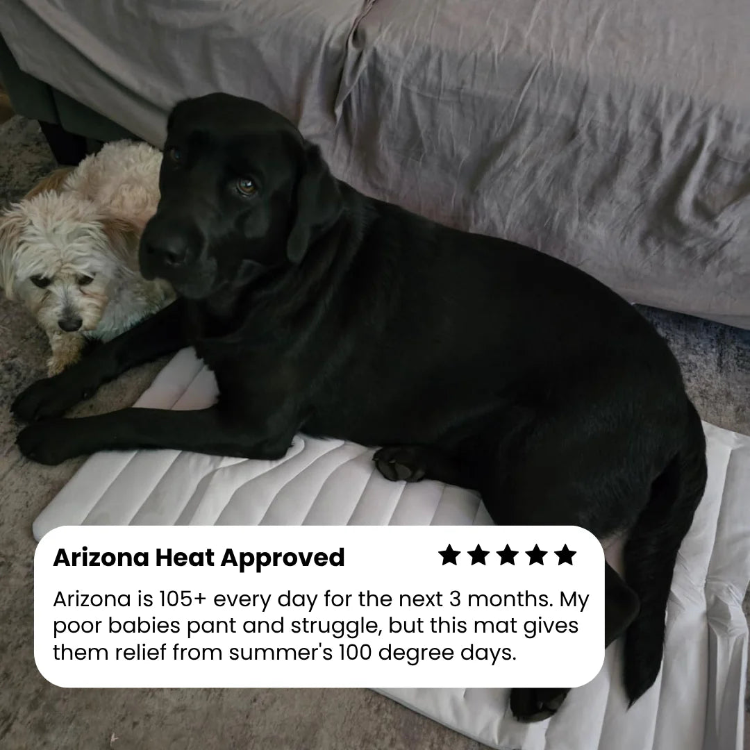 PupCoolMat: Dog Cooling Mat