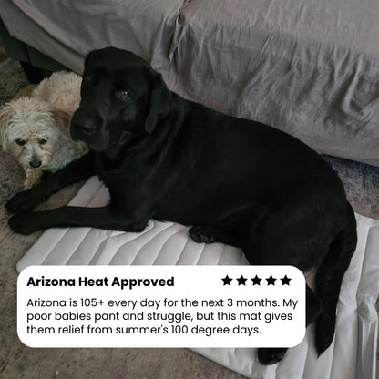 PupCoolMat: Dog Cooling Mat