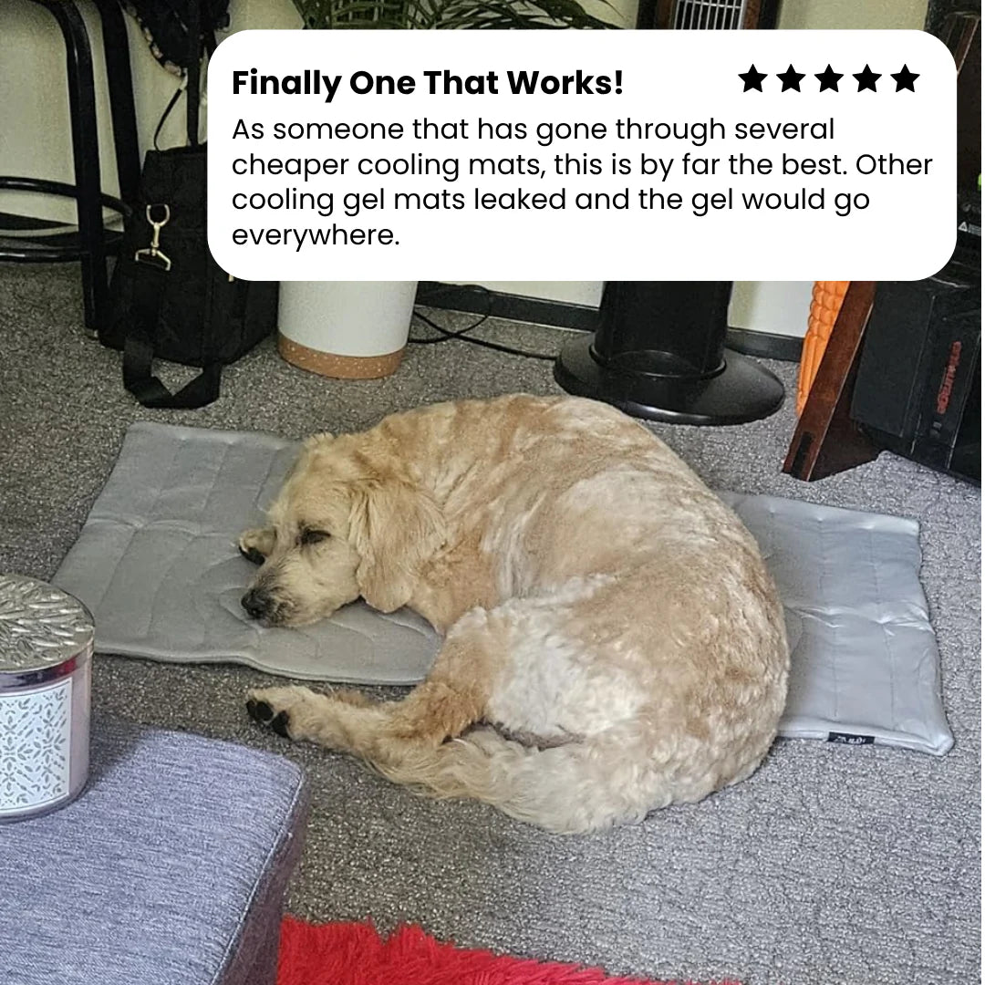 PupCoolMat: Dog Cooling Mat