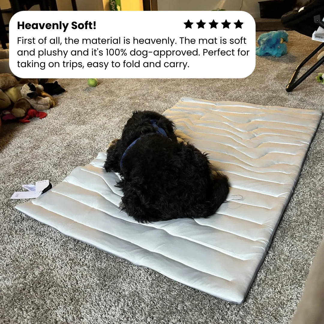 PupCoolMat: Dog Cooling Mat