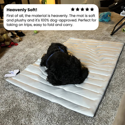 PupCoolMat: Dog Cooling Mat
